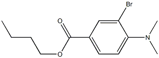 Butyl 3-broMo-4-(diMethylaMino)benzoate 구조식 이미지