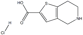 4,5,6,7-테트라히드로티에노[3,2-c]피리딘-2-카르복실산염산염 구조식 이미지