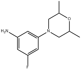 3-(2,6-diMethylMorpholino)-5-fluoroaniline Structure