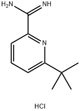 6-(tert-Butyl)picoliniMidaMide hydrochloride Structure