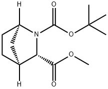 (1R,3S,4S)-2-Boc-2-aza-bicyclo[2.2.1]heptane-3-carboxylic acid Methyl ester 구조식 이미지