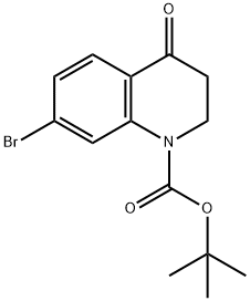 tert-butyl 7-broMo-4-oxo-2,3-dihydroquinoline-1-carboxylate Structure