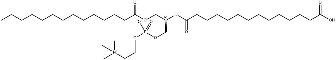 1-Myristoyl-2-(14-carboxyMyristoyl)-sn-glycero-3-phosphocholine 구조식 이미지