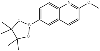 2-메톡시퀴놀린-6-보론산,피나콜에스테르 구조식 이미지