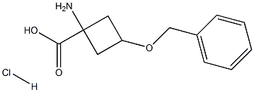 1-AMino-3-(benzyloxy)cyclobutanecarboxylic acid hydrochloride Structure