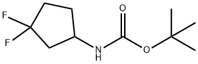 1215071-23-0 tert-Butyl (3,3-difluorocyclopentyl)carbaMate