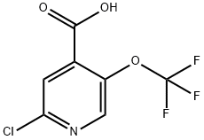 2-chloro-5-(trifluoroMethoxy)isonicotinic acid Structure