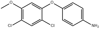 4-(2,4-Dichloro-5-Methoxyphenoxy)aniline 구조식 이미지