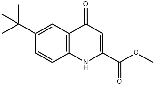 6-tert-부틸-4-옥소-1,4-디히드로-퀴놀린-2-카르복실산메틸에스테르 구조식 이미지
