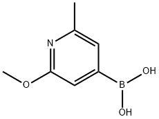 2-Methoxy-6-Methylpyridin-4-ylboronic acid 구조식 이미지