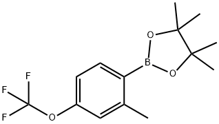 2-메틸-4-트리플루오로메톡시페닐보론산,피나콜에스테르 구조식 이미지