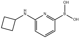 6-(CYCLOBUTYLAMINO)PYRIDINE-2-BORONIC ACID Structure