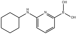 6-(CYCLOHEXYLAMINO)PYRIDINE-2-BORONIC ACID Structure