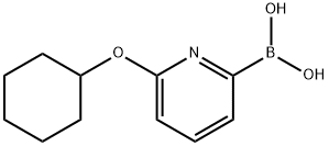 6-(CYCLOHEXYLOXY)PYRIDINE-2-BORONIC ACID Structure