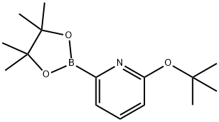 6-(TERT-BUTOXY)피리딘-2-보론산피나콜에스테르 구조식 이미지