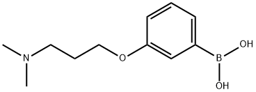 (3-(3-(diMethylaMino)propoxy)phenyl)boronic acid Structure