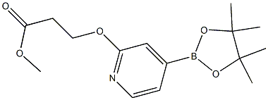 methyl 3-(4-(4,4,5,5-tetramethyl-1,3,2-dioxaborolan-2-yl)pyridin-2-yloxy)propanoate 구조식 이미지