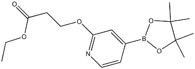 ethyl 3-(4-(4,4,5,5-tetramethyl-1,3,2-dioxaborolan-2-yl)pyridin-2-yloxy)propanoate Structure