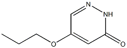 5-propoxypyridazin-3(2H)-one 구조식 이미지