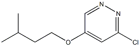 3-chloro-5-(isopentyloxy)pyridazine 구조식 이미지