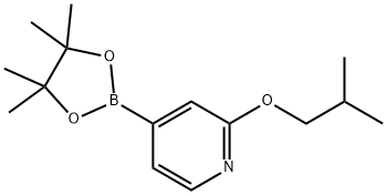 2-isobutoxy-4-(4,4,5,5-tetramethyl-1,3,2-dioxaborolan-2-yl)pyridine 구조식 이미지