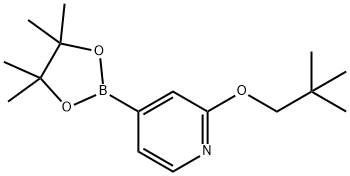 2-(Neopentyloxy)-4-(4,4,5,5-tetraMethyl-1,3,2-dioxaborolan-2-yl)pyridine 구조식 이미지