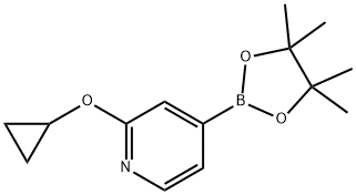 2-cyclopropoxy-4-(4,4,5,5-tetramethyl-1,3,2-dioxaborolan-2-yl)pyridine 구조식 이미지