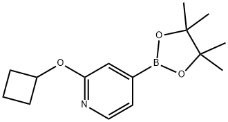 2-cyclobutoxy-4-(4,4,5,5-tetramethyl-1,3,2-dioxaborolan-2-yl)pyridine 구조식 이미지