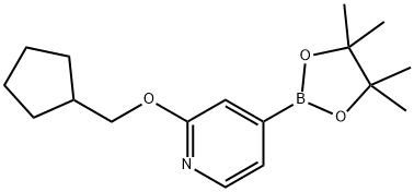 2-(cyclopentylmethoxy)-4-(4,4,5,5-tetramethyl-1,3,2-dioxaborolan-2-yl)pyridine 구조식 이미지