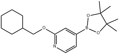 2-(cyclohexylmethoxy)-4-(4,4,5,5-tetramethyl-1,3,2-dioxaborolan-2-yl)pyridine Structure