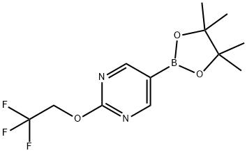 5-(4,4,5,5-Tetramethyl-1,3,2-dioxaborolan-2-yl)-2-(2,2,2-trifluoroethoxy)pyrimidine Structure