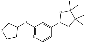 2-(tetrahydrofuran-3-yloxy)-4-(4,4,5,5-tetraMethyl-1,3,2-dioxaborolan-2-yl)pyridine Structure