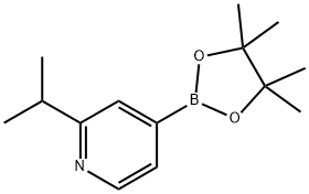 2-isopropyl-4-(4,4,5,5-tetraMethyl-1,3,2-dioxaborolan-2-yl)pyridine 구조식 이미지