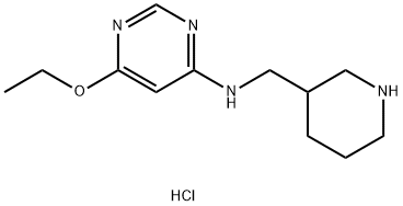 (6-Ethoxy-pyriMidin-4-yl)-piperidin-3-ylMethyl-aMine hydrochloride 구조식 이미지