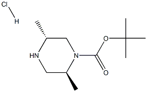 (2S,5R)-1-Boc-2,5-diMethylpiperazine hydrochloride 구조식 이미지