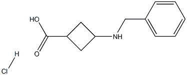 3-(benzylaMino)cyclobutanecarboxylic acid hydrochloride Structure