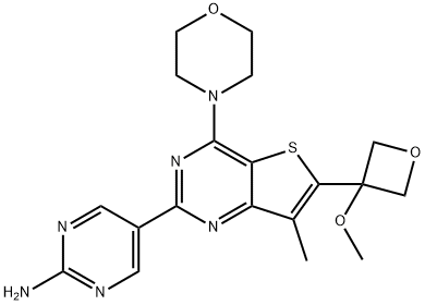 5-(6-(3-Methoxyoxetan-3-yl)-4-Morpholinothieno[3,2-d]pyriMidin-2-yl)pyriMidin-2-aMine Structure
