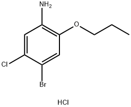 4-BroMo-5-chloro-2-propoxyaniline HCl 구조식 이미지