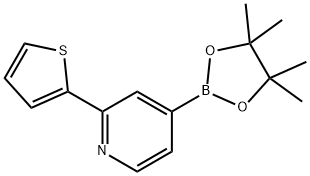 4-(4,4,5,5-tetraMethyl-1,3,2-dioxaborolan-2-yl)-2-(thiophen-2-yl)pyridine Structure