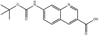 7-(tert-butoxycarbonylaMino)quinoline-3-carboxylic acid 구조식 이미지