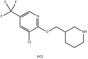 3-Chloro-2-(piperidin-3-ylMethoxy)-5-trifluoroMethyl-pyridine hydrochloride Structure