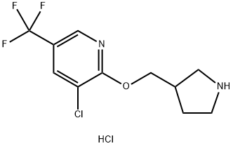 3-Chloro-2-(pyrrolidin-3-ylMethoxy)-5-trifluoroMethyl-pyridine hydrochloride Structure