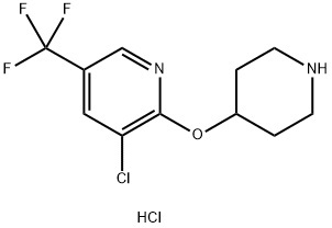3-Chloro-2-(piperidin-4-yloxy)-5-trifluoroMethyl-pyridine hydrochloride Structure