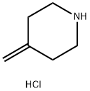 4-Methylenepiperidine HCl 구조식 이미지