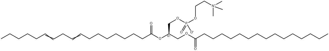 1-palMitoyl-2-linoleoyl-sn-glycero-3-phosphocholine Structure