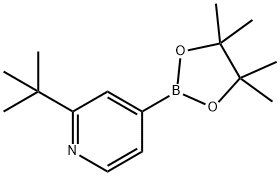 2-tert-butyl-4-(4,4,5,5-tetraMethyl-1,3,2-dioxaborolan-2-yl)pyridine 구조식 이미지