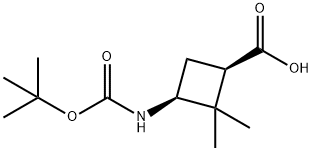 cis-3-(Boc-aMino)-2,2-diMethylcyclobutanecarboxylic acid Structure