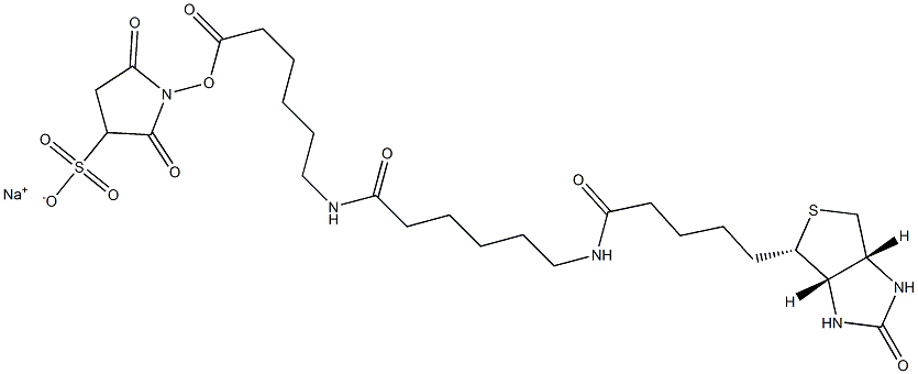 SULFO-NHS-LC-LC-BIOTIN 구조식 이미지