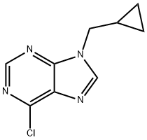 6-클로로-9-사이클로프로필메틸-8-메틸-9H-퓨린 구조식 이미지