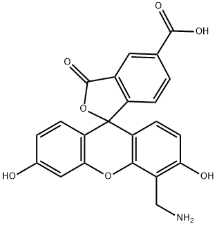 4'-AMinoMethyl-6-FAM Structure